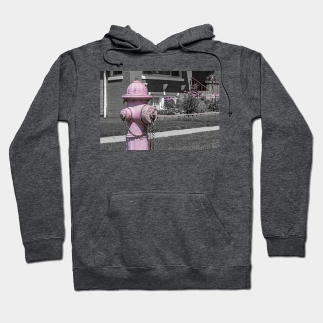 Flowers and Fire Hydrant Hoodie by Enzwell